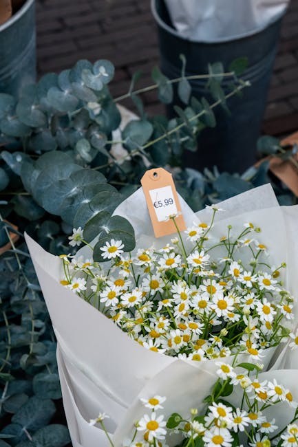 A fresh bouquet of small white daisies with yellow centers arranged in white tissue paper wrap, placed on a table with a backdrop of blue-green eucalyptus leaves and a blurred outdoor setting. The dai